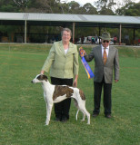 Puppy In Specialty Show April 2012