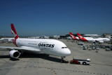 QANTAS AIRCRAFT SYD RF IMG_6228.jpg