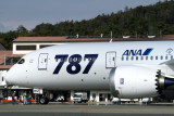 ANA BOEING 787 8 OKJ RF IMG_1088.jpg