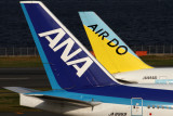 ANA AIR DO AIRCRAFT HND RF IMG_1107.jpg