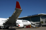 QANTAS AIRBUS A330 300 BNE RF IMG_6981.jpg