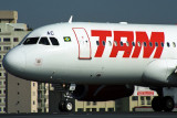 TAM AIRBUS A319 CGH RF 1731 4