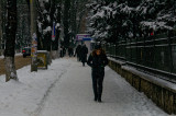 Walk in the snow