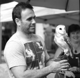 Barn Owl Tyto Alba