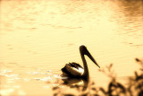 alone