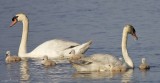 Happy Family