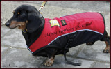 Happy Birthday Christine!!!