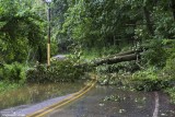 Hurricane Irene