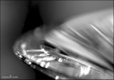 Playing with Light