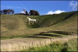 Cherhill White Horse