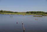 IMG_4079033.jpg