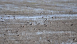 DSC_0066b.JPG