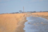 DSC_0088b.JPG