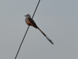 DSC_0383b.JPG