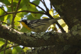 DSC_0303b.JPG