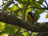 DSC_0305b.JPG