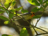 DSC_0334b.JPG
