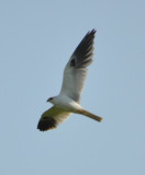 DSC_0629b.JPG