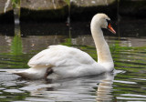 DSC_0061b.JPG