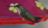 DSC_0202b.JPG