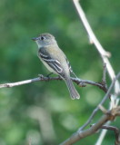 DSC_0255b.JPG