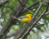 DSC_0571b.JPG