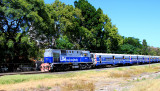 Commuter Train Heading Toward Retiro Train Station