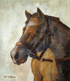 IMG_8216horse.jpg