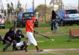 Shankees Baseball