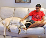 Tank & Cesar