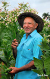 Paco in his tobacco field