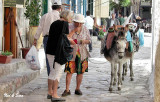 vendor and her donkeys