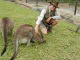 Jim with kangaroos
