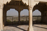 Fort Rouge - Red Fort of Agra - parte interna-2