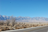 DSC_0659.JPG