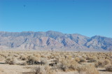 DSC_0664.JPG