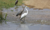 Fishermen Enjoy rising Water of Spillway