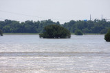 Bonnet Carre Spillway near the Montz side