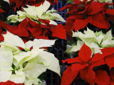 December 2011