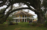 Mary Plantation
