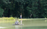 Casting for Trout