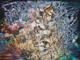 Enchanted Swamp