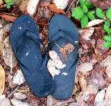 Lost
