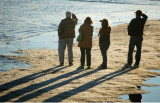 Dreamstime: Whale Watching