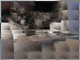 Parking Lot Transfigured