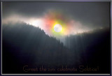 Celebrate Solstice