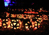 The Great Jack O'Lantern Blaze - Snakes