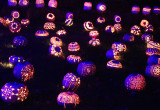 The Great Jack O'Lantern Blaze - Carvings
