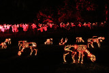 The Great Jack O'Lantern Blaze - Cows