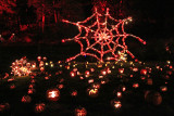 The Great Jack OLantern Blaze - Spider Web